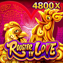 Rooster In Love